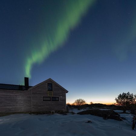 Koselig Bolig I Lofoten / Vesteralen Stronstad i Vesteralen Екстериор снимка